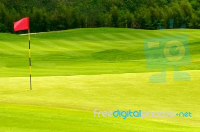 Golf Ball On Green Stock Photo