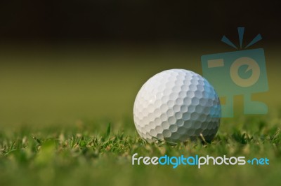 Golf Ball On Green Grass Stock Photo