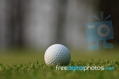 Golf Ball On Green Grass Stock Photo