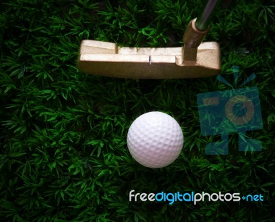 Golf Ball On Green Grass And Putter Stock Photo