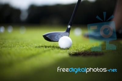 Golf Ball On Green Meadow, Driver Stock Photo