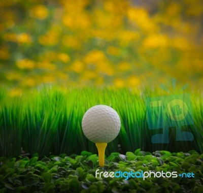 Golf Ball On Tee Stock Photo