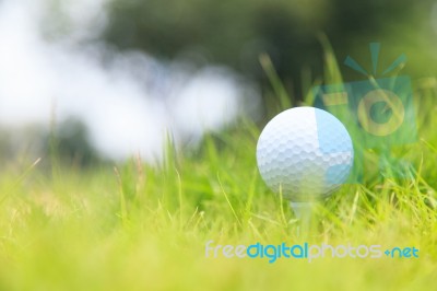 Golf Ball On Tee Stock Photo