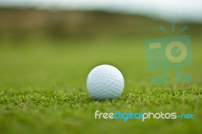 Golf Ball On The Grass Stock Photo