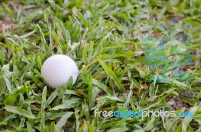 Golf Ball On The Lawn Stock Photo