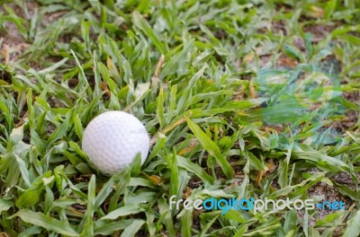 Golf Ball On The Lawn Stock Photo