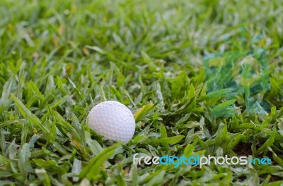 Golf Ball On The Lawn Stock Photo