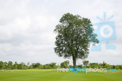 Golf Course Stock Photo