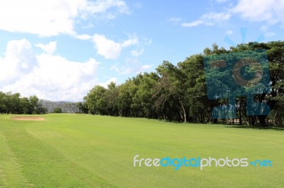 Golf Course  Stock Photo