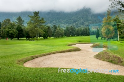 Golf Course  Stock Photo