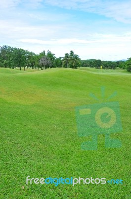 Golf Field Stock Photo