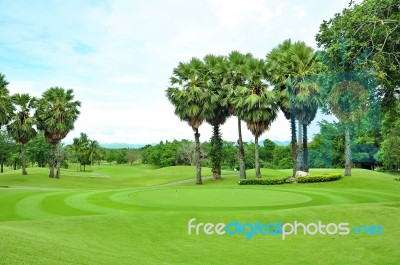 Golf Field Stock Photo