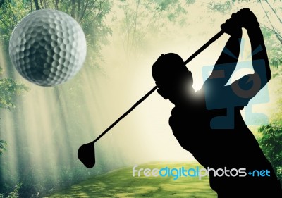 Golfer Putting A Ball On The Green Stock Image