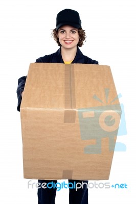 Good Looking Woman Holding Up A Cardboard Box Stock Photo