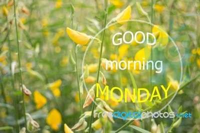 Good Mornign Monday Quote Design Poster Stock Image