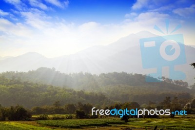 Good Nature At Rice Field And Mountain Stock Photo