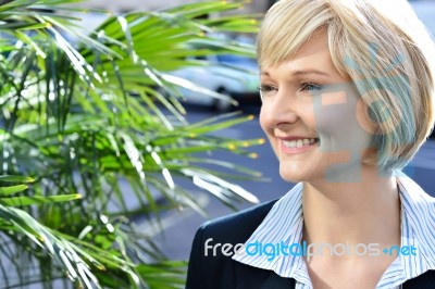 Gorgeous Pretty Smart Business Lady Stock Photo