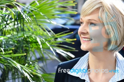 Gorgeous Pretty Smart Business Lady Stock Photo