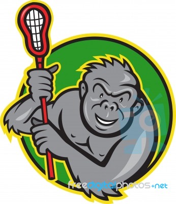 Gorilla Ape With Lacrosse Stick Cartoon Stock Image