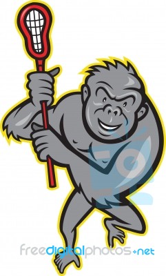 Gorilla Ape With Lacrosse Stick Cartoon Stock Image