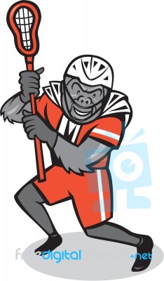 Gorilla Lacrosse Player Cartoon Stock Image