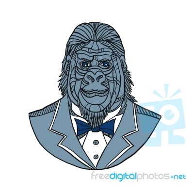 Gorilla Tuxedo Jacket Monoline Color Stock Image