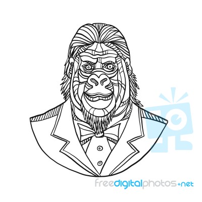 Gorilla Wearing Tuxedo Bust Monoline Stock Image