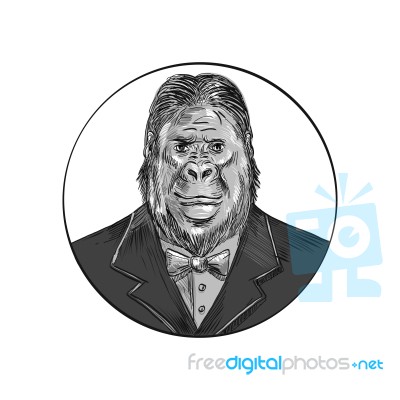 Gorilla Wearing Tuxedo Drawing Stock Image