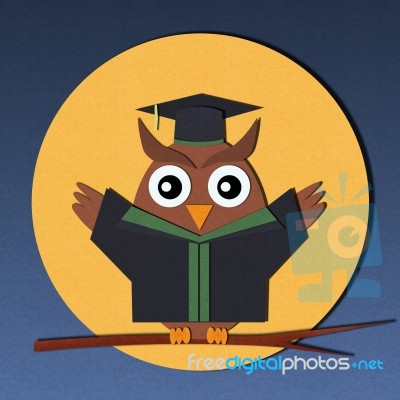 Graduate Owl Stock Image