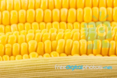 Grains Of Ripe Corn Stock Photo