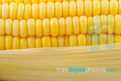 Grains Of Ripe Corn Stock Photo