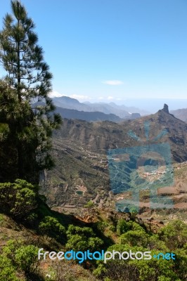 Gran Canaria, Canary Islands/spain- February 21 : A Scenic View Stock Photo