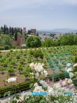 Granada, Andalucia/spain - May 7 : View Of The Alhambra Palace G… Stock Photo