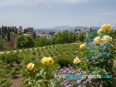 Granada, Andalucia/spain - May 7 : View Of The Alhambra Palace G… Stock Photo