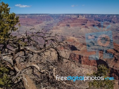 Grand Canyon Stock Photo