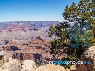 Grand Canyon Stock Photo