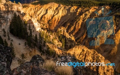 Grand Canyon Of Yellowstone Stock Photo