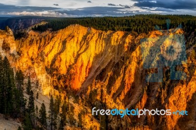 Grand Canyon Of Yellowstone Stock Photo