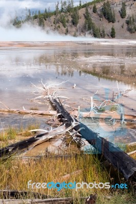 Grand Prismatic Spring Stock Photo