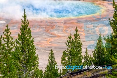 Grand Prismatic Spring In Yellowstone National Park Stock Photo