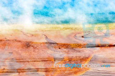 Grand Prismatic Spring In Yellowstone National Park Stock Photo