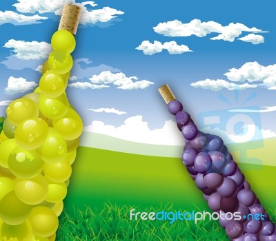 Grapes Stock Image