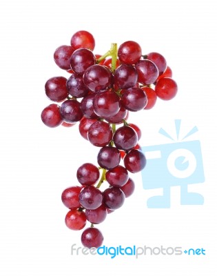 Grapes Isolated On Over White Background Stock Photo