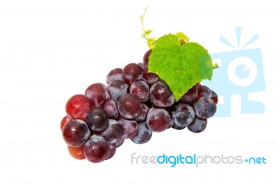 Grapes Isolated On White Background Stock Photo