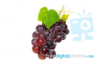 Grapes Isolated On White Background Stock Photo