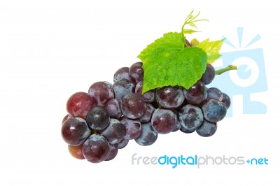 Grapes Isolated On White Background Stock Photo