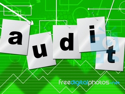 Graph Audit Indicates Auditing Infograph And Scrutiny Stock Image