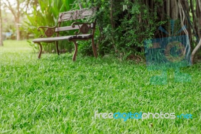 Grass And Chairs In Garden Stock Photo