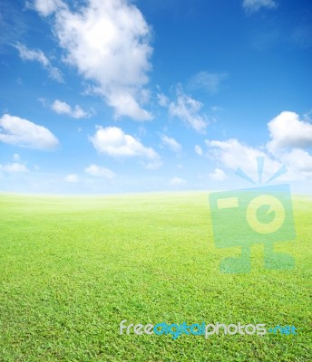 Grass And Sky Background Stock Photo