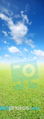 Grass And Sky Background Stock Photo